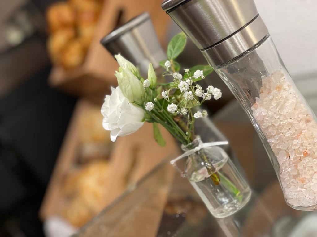 Hotel Blaue Traube 쇼네우 외부 사진